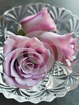 Top view of a beautiful bouquet of roses in the transparent vase on a blurre background