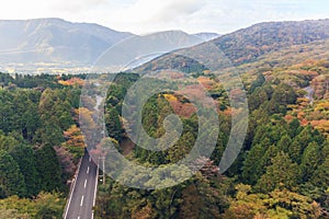 Top view of beautiful forest of autumn leaves.