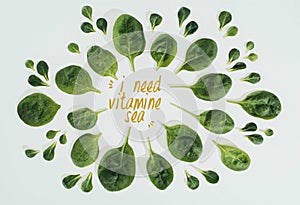 top view of beautiful fresh green leaves and words i need vitamine sea