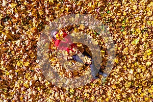 Top view. Beautiful happy young woman in red sweater lying on ground having fun, playing, toss up with autumn maple autumn leaves.