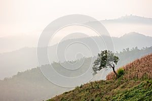 Top view of beautiful mountain range landscape with sunshine