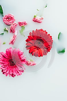 top view of beautiful roses and gerbera flowers with green leaves photo