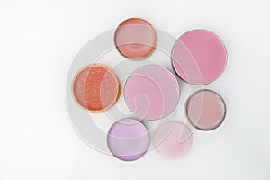 top view beautiful vivid various lip and blushers item makeup kit