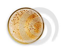 Top view of beer bubbles in glass cup on white background. empty space for design. with clipping path
