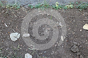 top view of benthic soil surface with good quality soil for planting trees photo