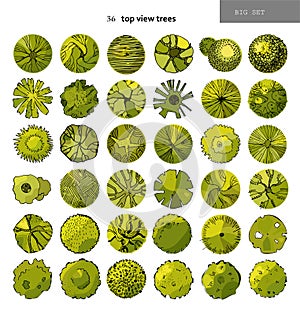 Top view big vector set of different trees.Hand drawn illustration for landscape design, plan, maps.Collection of trees