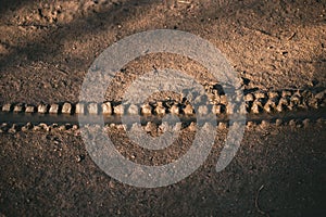 Top view of a bike tire tracks in muddy ground