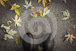 Top view of black rubber boots on fallen leaves ground.