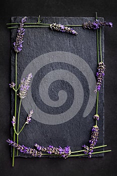 Top view of a black slate board with bunch of lavender flowers around as a frame on a dark background