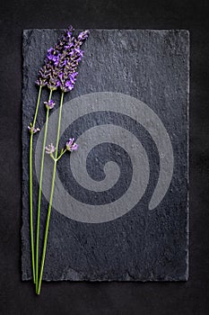 Top view of a black slate board with a bunch of lavender flowers on a dark background