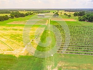 Top view blackberry farm with hays on land at rest in Texas, America