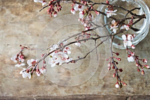 Top view of blooming pink and white spring tree branches on wooden background