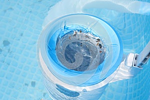 Top view of the blue skimmer for cleaning the pool in clear water. Contaminated pool cleaning concept