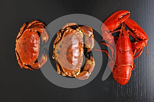 Top view of Boiled Atlantic Lobster and crabs