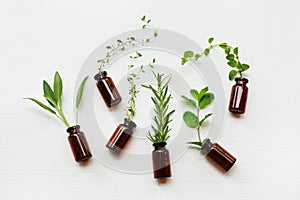 Top view, Bottle of essential oil with herbs sage, rosemary, or