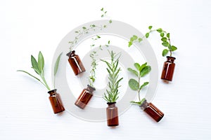 Top view, Bottle of essential oil with herbs sage, rosemary, or