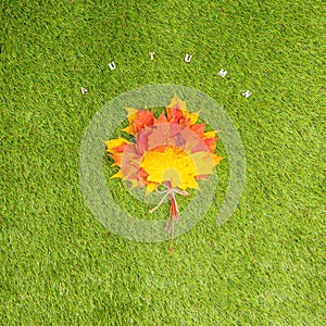 Top view of bouquet of colorful maple leaf on the green grass. Creative and minimalism. Season change, autumn is coming. Nature