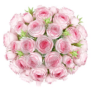 Top view of bouquet of pink roses isolated on white