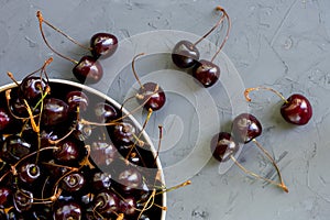 Top view of bowl full of ripe dark red cherries with stalks lying on grey background