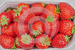 Top view on a box with fresh ripe strawberries