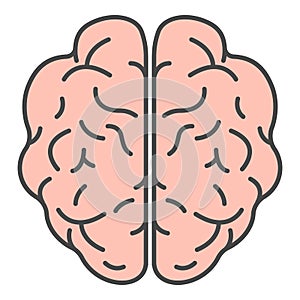 Top view brain icon color outline vector