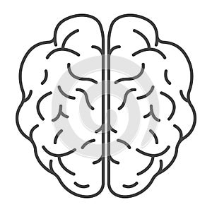 Top view brain icon, outline style