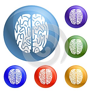 Top view brain icons set vector