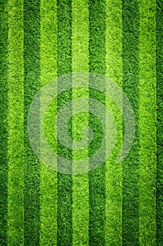 Green Grass Background, Top View Garden Bright Grass Concept photo