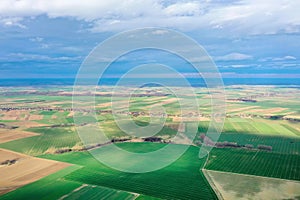 Top view of bright green fields sown with wheat and corn, rural landscape from above, nature, blue skies