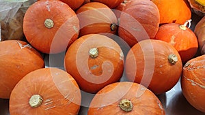 Top view of bright orange pumpkin in a group