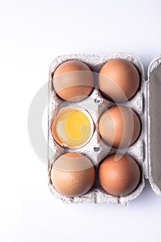 Top view of brown eggs on egg carton isolated on white background