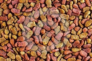 Top view of brown kibble pieces of dry cat food as a textured pattern.