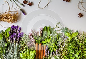 Top view of bunch of fresh herbs from the garden and spices on a white background