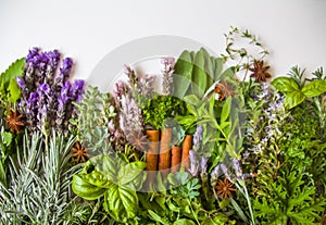 Top view of bunch of fresh herbs from the garden and spices on a white background