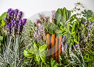 Top view of bunch of fresh herbs from the garden and spices on a white background