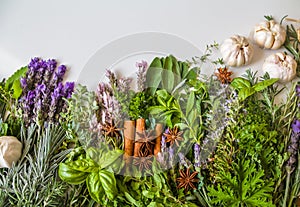 Top view of bunch of fresh herbs from the garden and spices on a white background