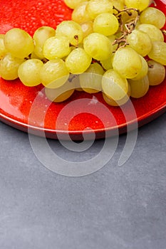 Top view of bunch of green grapes with water drops, on red plate and dark background, with selective focus, in vertical