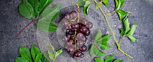 Top view bunch of red grapes and green leaves with water drops on the dark concrete background. Selective focus, wide photo