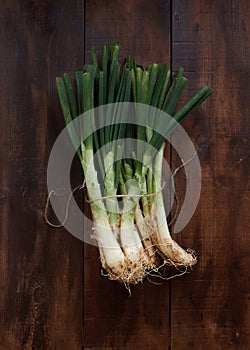Top view of bundle of raw calcots tied with string on a rustic wooden table.