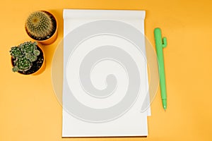 Top view business table with cactus, blank paper, pen place on y
