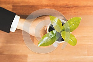 Top view businessman hold young plant on office table. Alter