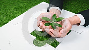 Top view businessman holding sprout over jigsaw puzzle. Gyre