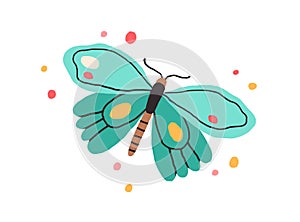 Top view of butterfly with bright spotty wings. Exotic flying insect in doodle style. Colored flat vector illustration