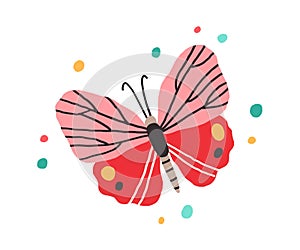 Top view of butterfly with bright spotty wings. Exotic flying insect in doodle style. Colorful flat vector illustration