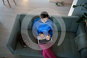 Top view Caucasian woman with laptop on lap typing post for own blog sits on couch near with cat