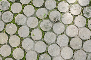 Top view of cement block floor with green moss