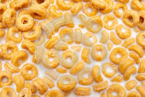 Top view cereal rings with milk