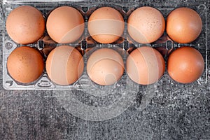 Top view chicken eggs in a plastic tray