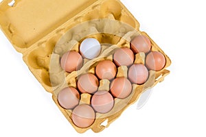 Top view of chicken eggs in yellow paper pulp cartons photo