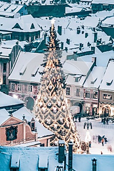 top view of a Christmas tree in city center